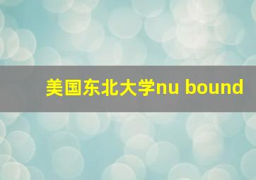 美国东北大学nu bound